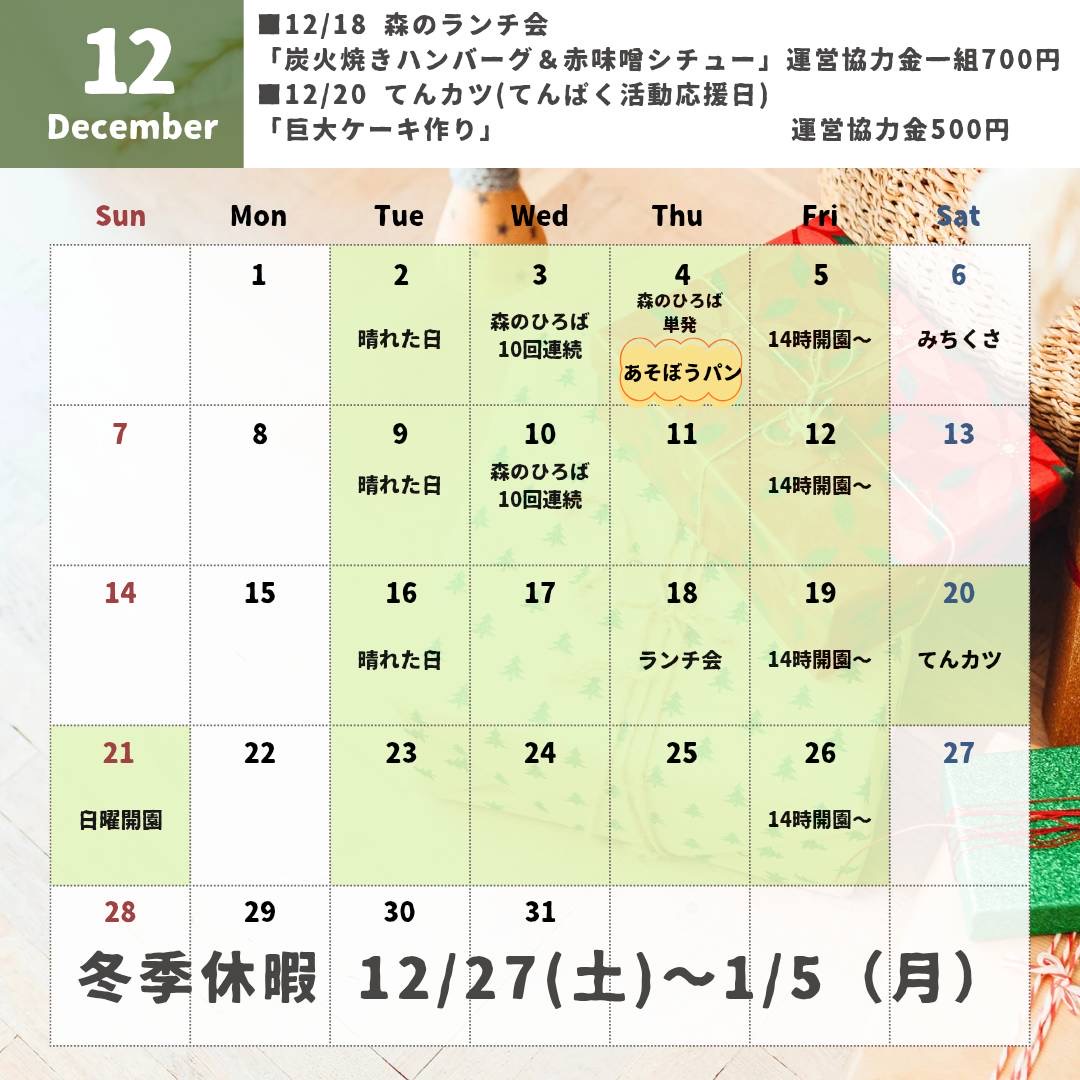 てんぱくプレーパーク2025年12月